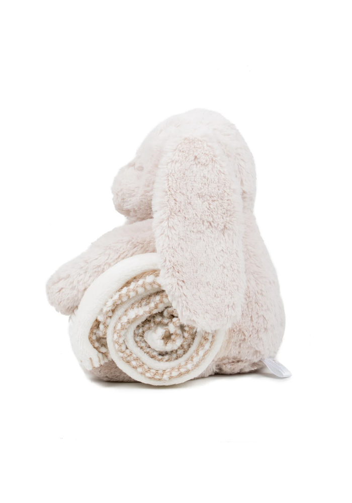 Bunny Rabbit And Blanket Gift Set